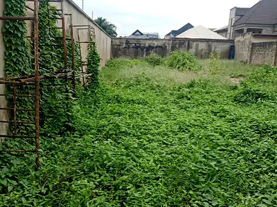 A Bare Land Measuring 520 SQM in a Serene Location — Gated and Interlocked Street by Deeper CHR HQ, Gbagada, Lagos