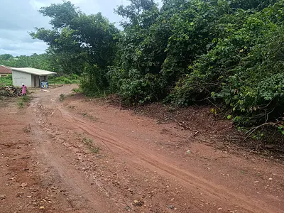 2 Acres of Mix Use Land Very Close to Town — Olorunsogo, Oyo