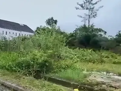 2 Plots of Land Measuring 1,200SQM — Ajah, Lagos