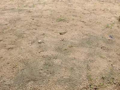 A Dry Full Plot of Solid Land — Old Yaba Road, Adekunle, Yaba, Lagos