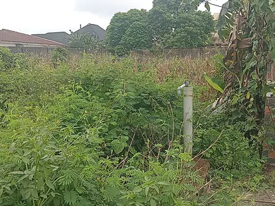 Land — Okuboyejo Layout, Off Igbeba, Ijebu Ode, Ogun