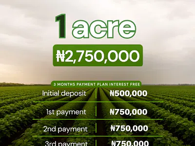 1 Acre Farm Land — Obafemi-Owode, Ogun State, Obafemi Owode, Ogun