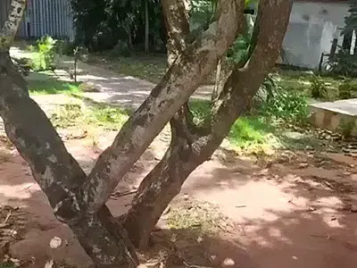 Residential Land with Demolishable Structure — Ikoyi, Lagos