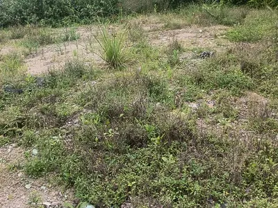Land in a Secured Estate — Ogba, Ikeja, Lagos