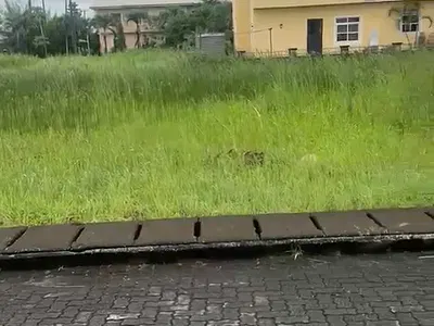 600SQM Residential Land — Lekki, Lagos