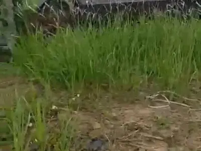 Land Measuring Approximately 763.774 Square Meter.video Available — Lekki, Lagos