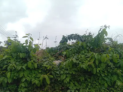Land Plot — Alago Erunwen, Erunwen, Ikorodu, Lagos