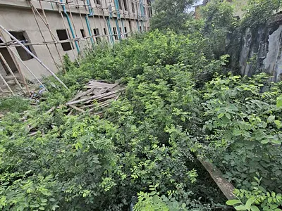 Half Plot of Dry Land — Lambe Street, Ago Palace, Isolo, Lagos