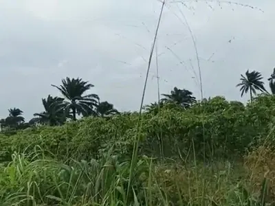 Bulk Land Like Over 200 Acres Can Be Sold per Plot — Ogun, Agbara-Igbesa, Lagos