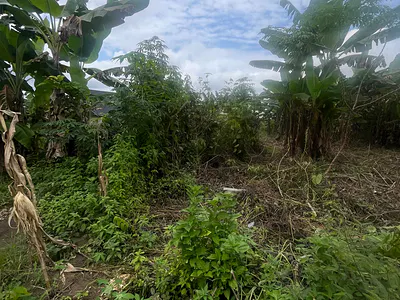 Half Plot of Land in a Fast Developing Estate — Akure, Ondo