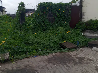 A Large Residential Land with C of O (Direct Listing) — Lekki, Lagos