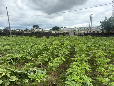 1.45 Hectare Public Institutional Land — Jabi Airport Junction, Jabi, Abuja