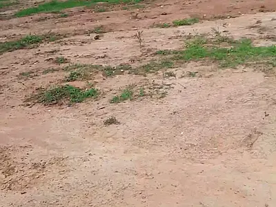 250SQM Estate Residential Land with Cofo — The Boulevard Estate Adjacent Gilmore Yard Guzape 2 Abuja, Guzape District, Abuja
