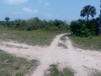 500 Acres of Mixed-Used Land — Erekiti, Off Lagos-Badagry Expressway, Age Mowo, Badagry, Lagos