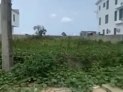 Residential Land Measuring 616SQM — Lekki, Lagos