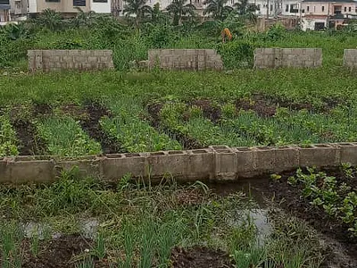 Distress Sales 1 Hectare of Land Build and Live Heart of Town — Galadimawa, Abuja