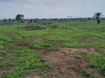 Massive Acres of Estate Land — Short Drive From Ojodu Berger, Makogi Magboro, Magboro, Ogun