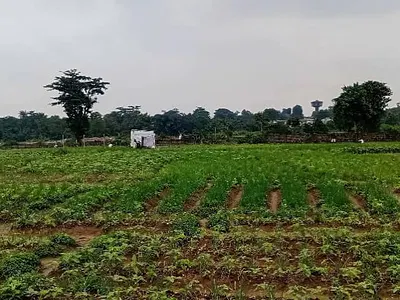 10,000 SQM Residential Land — Tejuosho, Yaba, Lagos