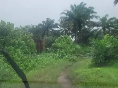 103-Hectare Mixed-Use Land — Uyo, Akwa Ibom