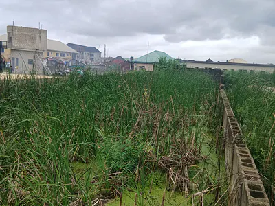 A Half Plot of Land — Sangotedo, Lekki Phase 2, Lekki, Lagos