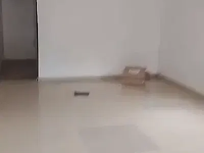 Newly Renovated 2 Bedroom Apartment in an Estate — Oregun, Ikeja, Lagos