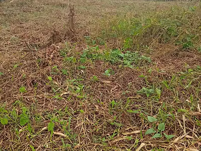 Residential One and Half Plot of Land in an Estate Land — Alagbole, Aduba Estate, Ojodu Berger, Ojodu, Lagos