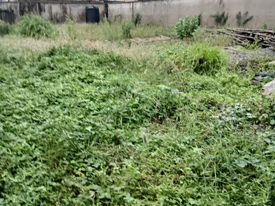 Dry Land Measuring 550 Square Meters — Gbagada, Lagos