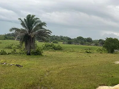 Residential Land with Government Approved Excision — Lavish Havens Closed to La Campaign Tropicana, Ibeju Lekki, Lagos