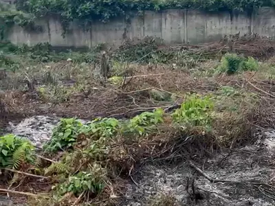 500SQM Residential Land in Prime Estate — Buy and Build Land in a Residential Estate with C of O, Magodo Phase 2, Magodo, Lagos