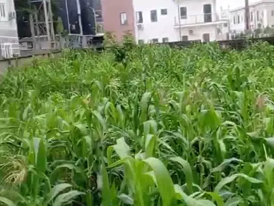 1000 SQM Residential Land — Dape, Berger Clinic Axis, Life Camp, Abuja