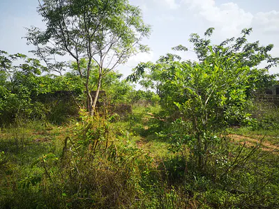 Residential Land — 4 Mins Drive to the Bus Stop and Major Road, Obada Oko, Abeokuta South, Ogun