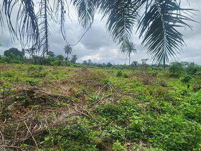 Plots of Land — Moniya/Ijaye Road, Ibadan, Oyo