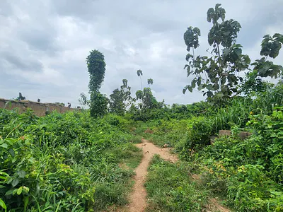 5.3 Acres Land with C of O — Aje Village, Badeku Ibadan, Ibadan, Oyo