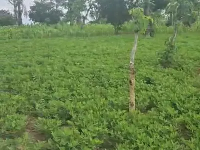 Industrial Land — Idu Industrial, Abuja