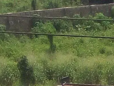 Four Plots of Land with C of O — Off Rd Road Behind Shell Residential Area, Port Harcourt, Rivers