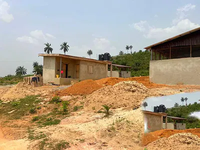 Farm Land Investment — Cocoa Farm Land Ago Iwoye Closed to Oou University, Ijebu Ode, Ogun