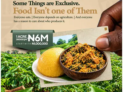 Registered Survey and Deed of Assignment — In Nsukwa, After Obasanjo Farm, Aniocha South, Delta