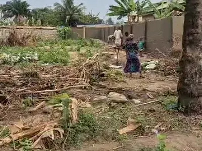 Existing Farmland with Title Document — Behind Eleweran Police Headquarters, Abeokuta South, Ogun