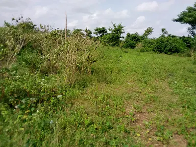 750SQM Residential Land — Lekki, Lagos