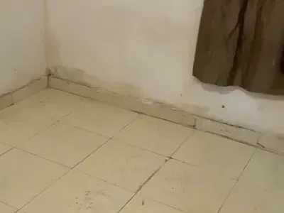 Decent Self Contain Apartment — Onigbongbo, Maryland, Lagos