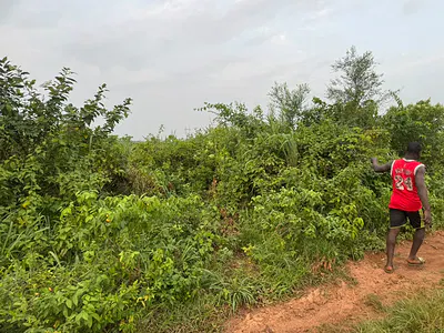 1 Plot of Land Available at Affordable Price — No 6 Elekuro Wasimi, Ewekoro Ogun State, Ewekoro, Ogun