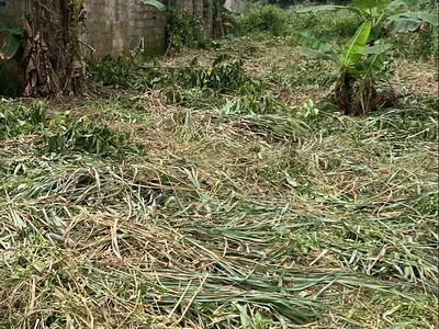 Distressed Half Plot of Land Near Express — Short Drive From RCCG Camp, Along Lagos-Ibadan Expressway, Mowe Town, Ogun