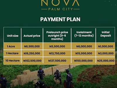 Farm Land Investment — Nova Palm City Imala Anigbado, Abeokuta North, Ogun