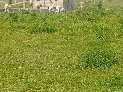 Residential Land Plot — Lugbe District, Abuja