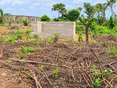 Fantastic 7064 SQMTS Residntial Land — Surulere, Lagos
