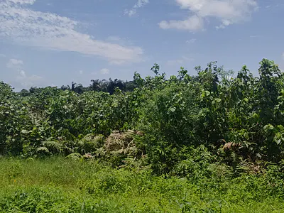 2,146 SQM Prime Land — Eko Atlantic City, Lagos