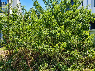 385 SQM Residential Land in Megamound Estate — Lekki, Lagos