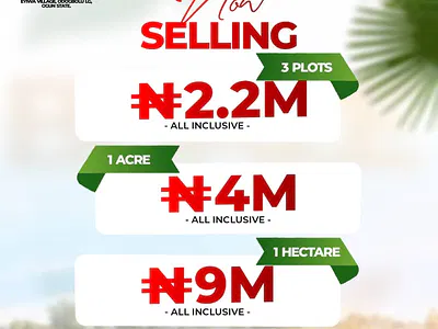 Palm Oil Plantation Investment-- Land Ownership & Annual Returns — Odogbolu, Ogun