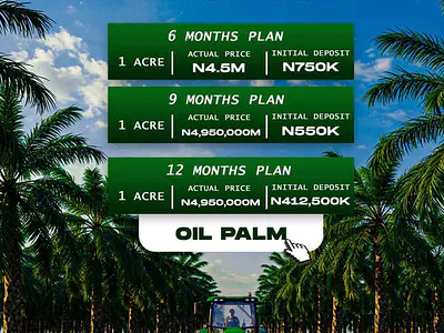 Farm Land Investment with Freehold — Harvest Groove Palm Oil Ayepe, Odogbolu, Ogun