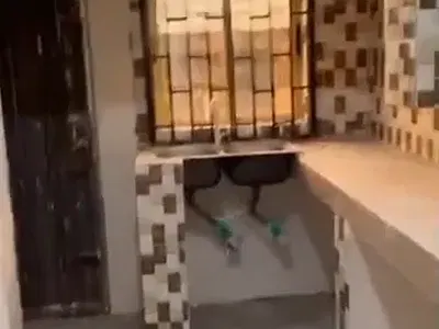 3 Bedroom Flat